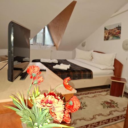 ホテル Casa Boiereasca ヤシ エクステリア 写真