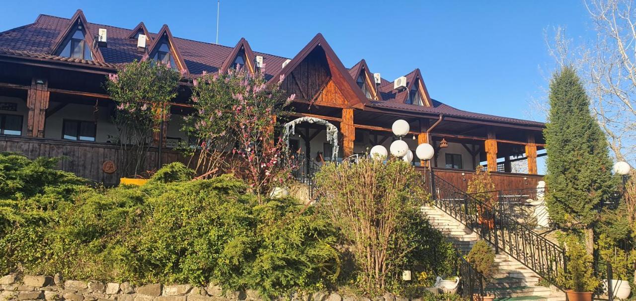 ホテル Casa Boiereasca ヤシ エクステリア 写真