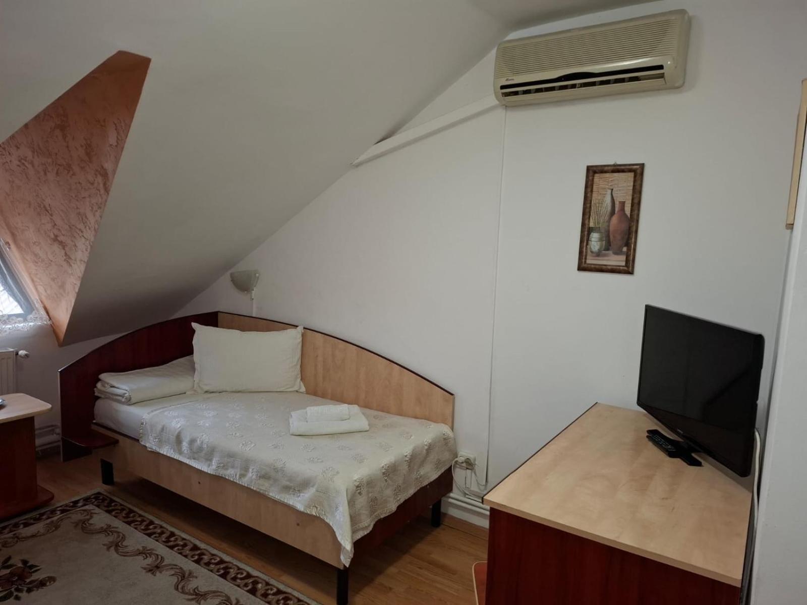 ホテル Casa Boiereasca ヤシ エクステリア 写真