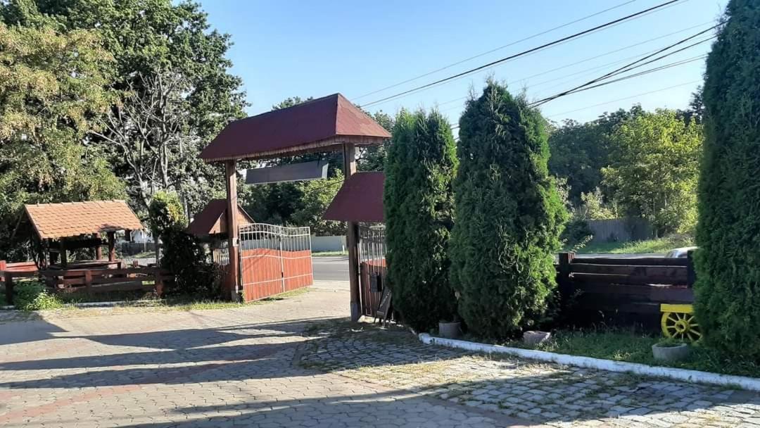 ホテル Casa Boiereasca ヤシ エクステリア 写真