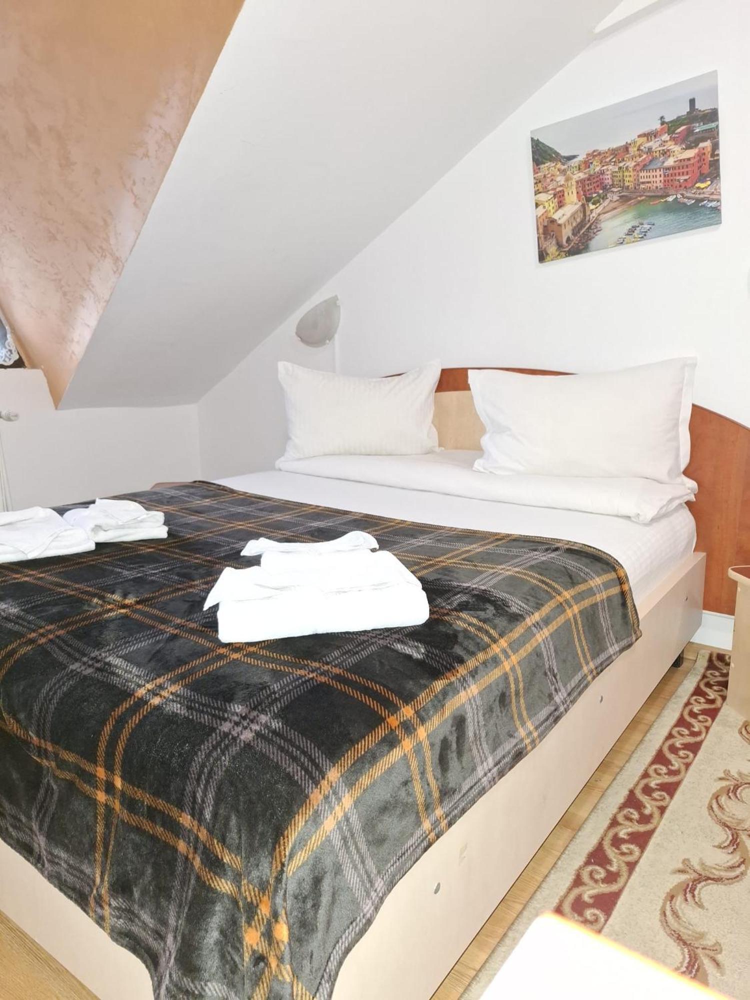 ホテル Casa Boiereasca ヤシ エクステリア 写真