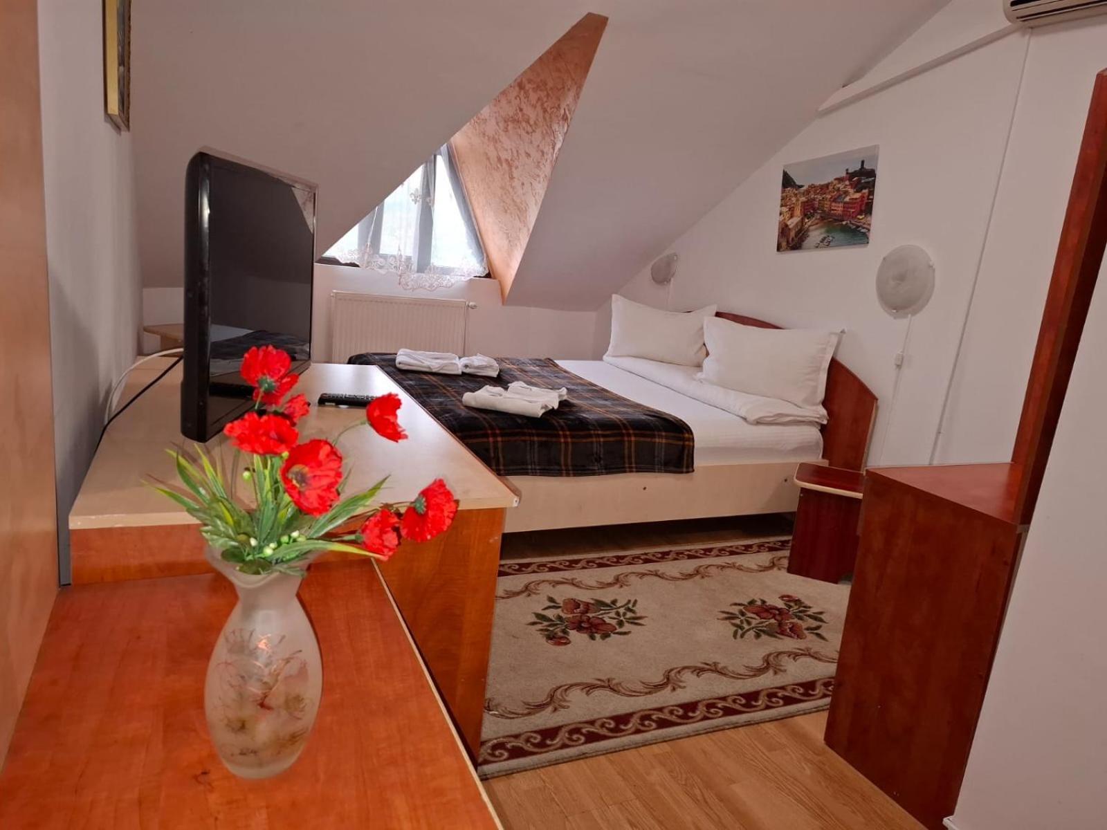 ホテル Casa Boiereasca ヤシ エクステリア 写真