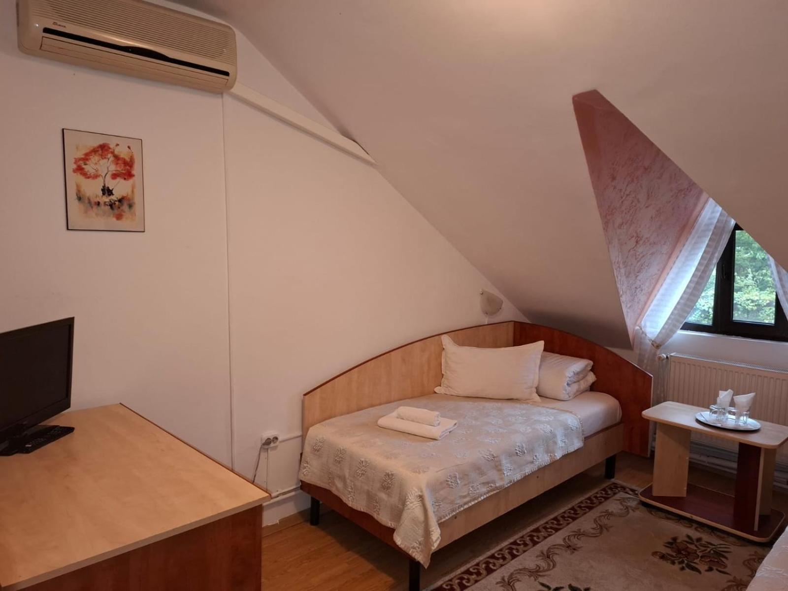 ホテル Casa Boiereasca ヤシ エクステリア 写真