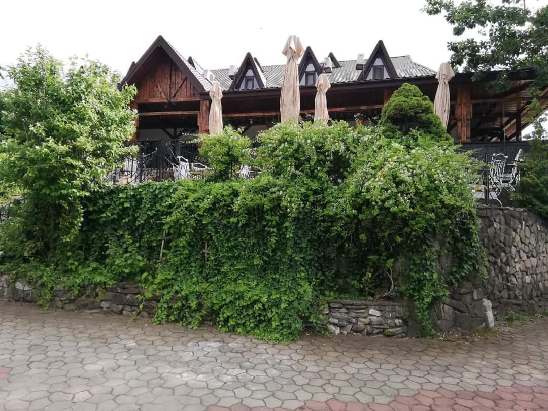 ホテル Casa Boiereasca ヤシ エクステリア 写真