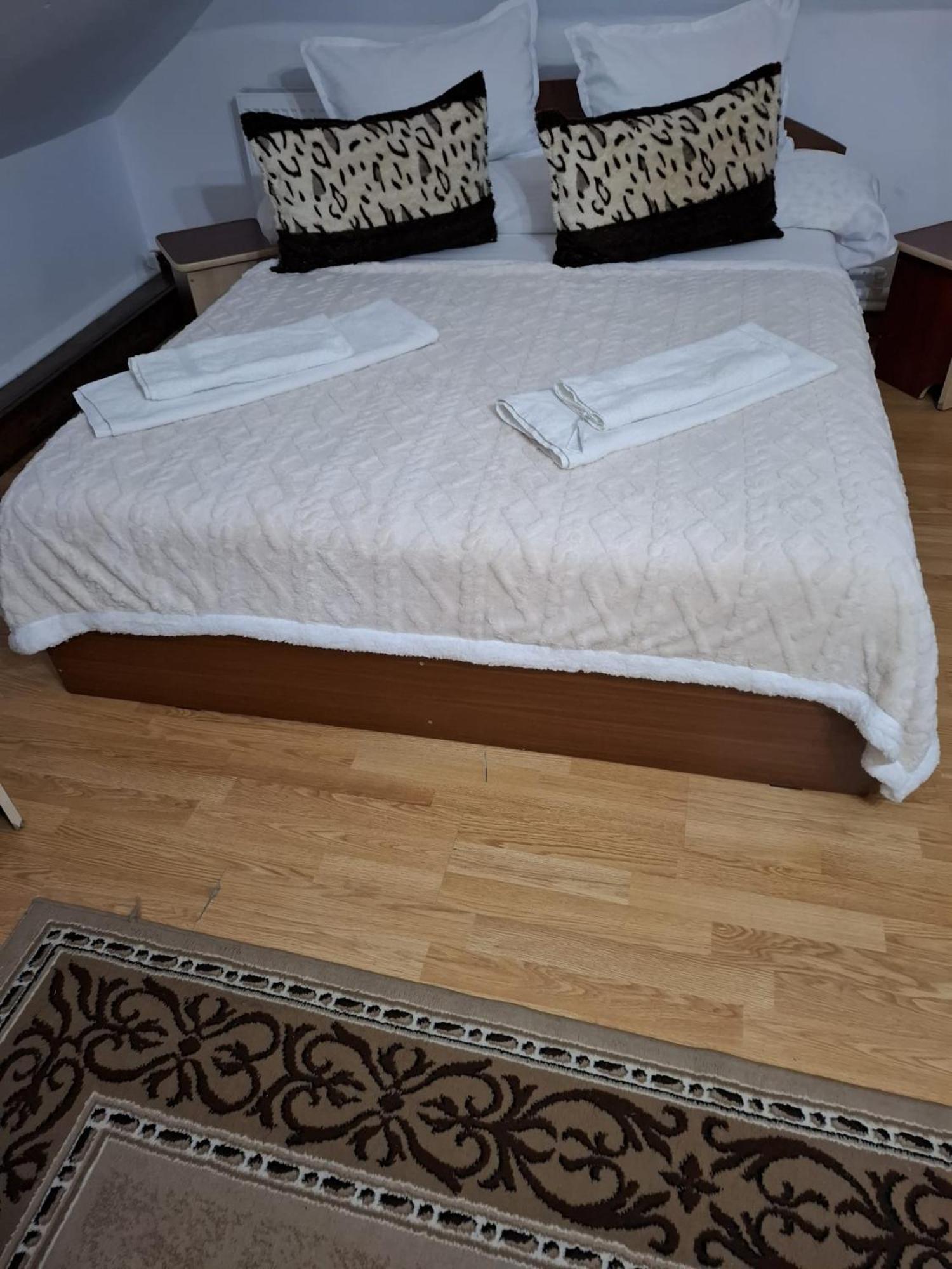 ホテル Casa Boiereasca ヤシ エクステリア 写真